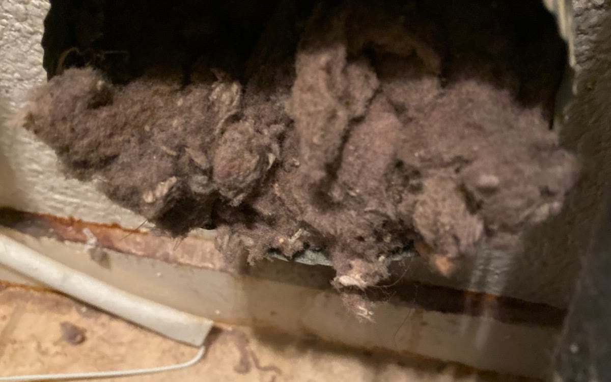 Dense lint buildup visible inside a dryer exhaust connection.