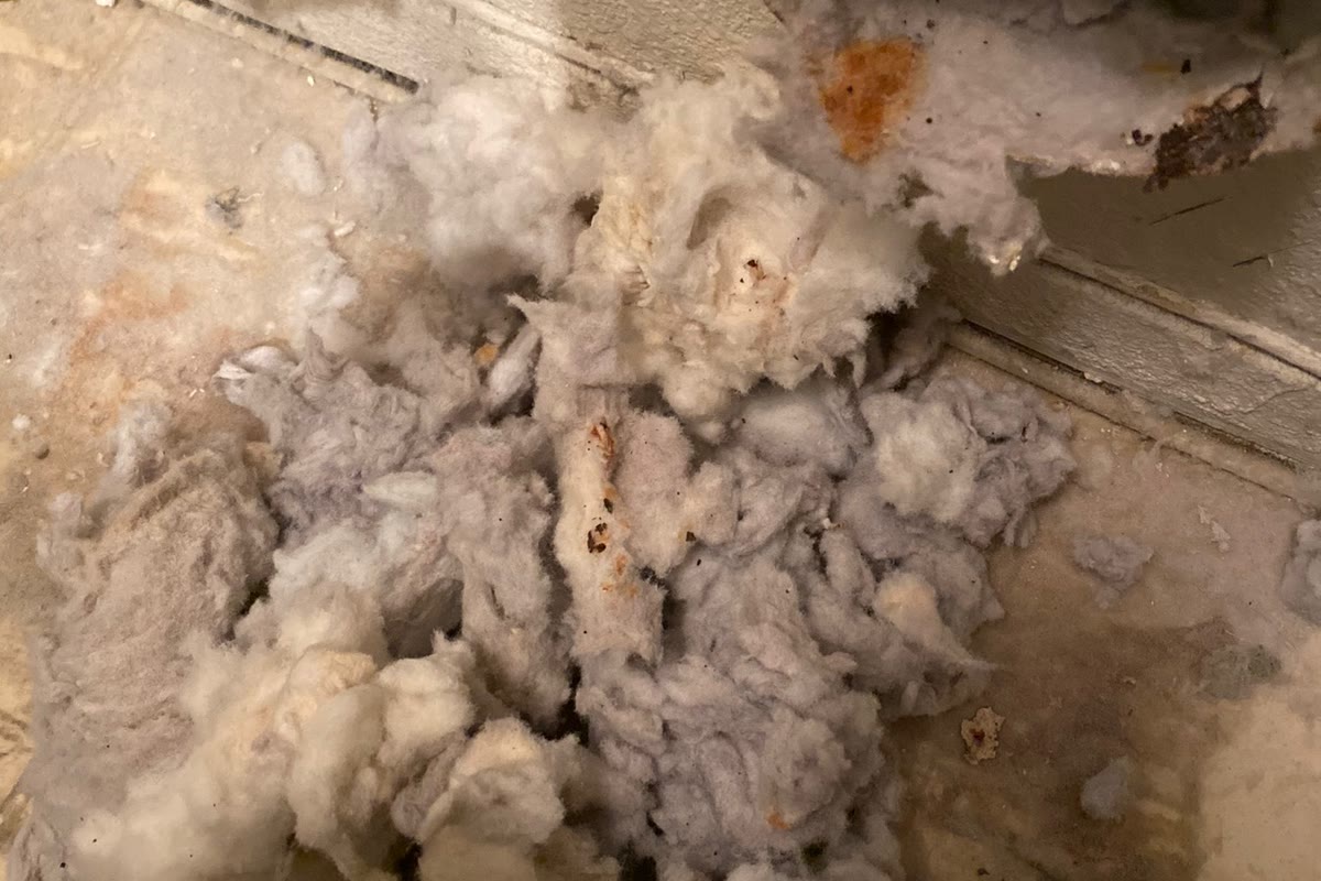 A large pile of lint removed from a dryer exhaust path in a reference photo.